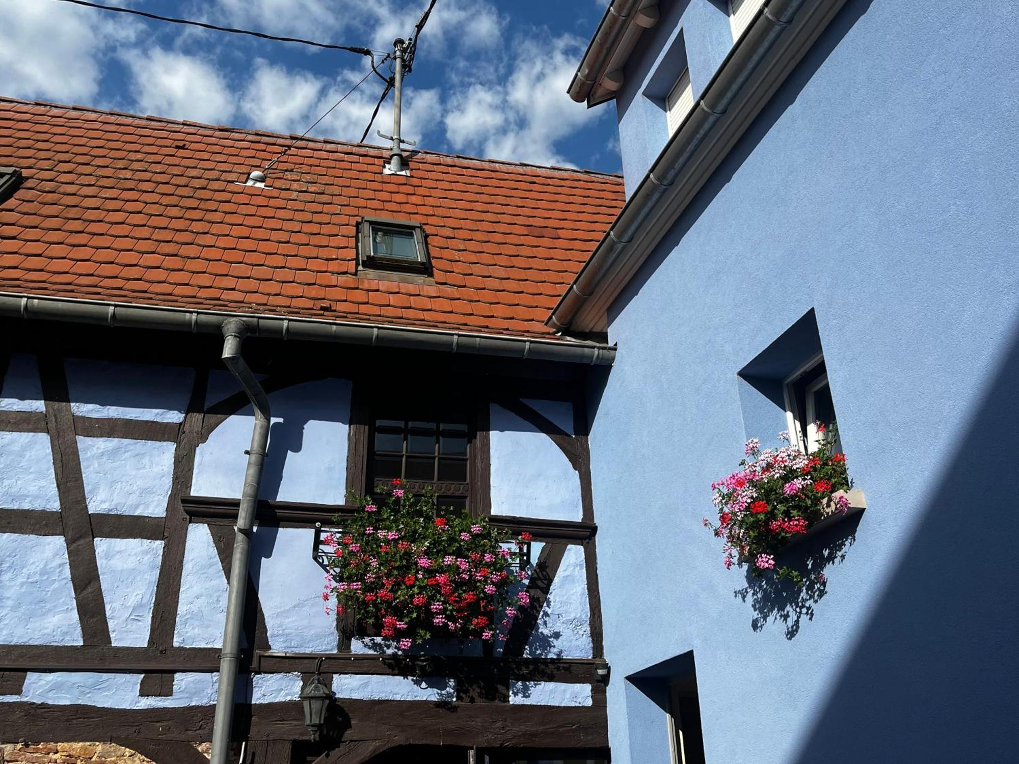 Les Chambres Du Marlenberg Marlenheim Bagian luar foto